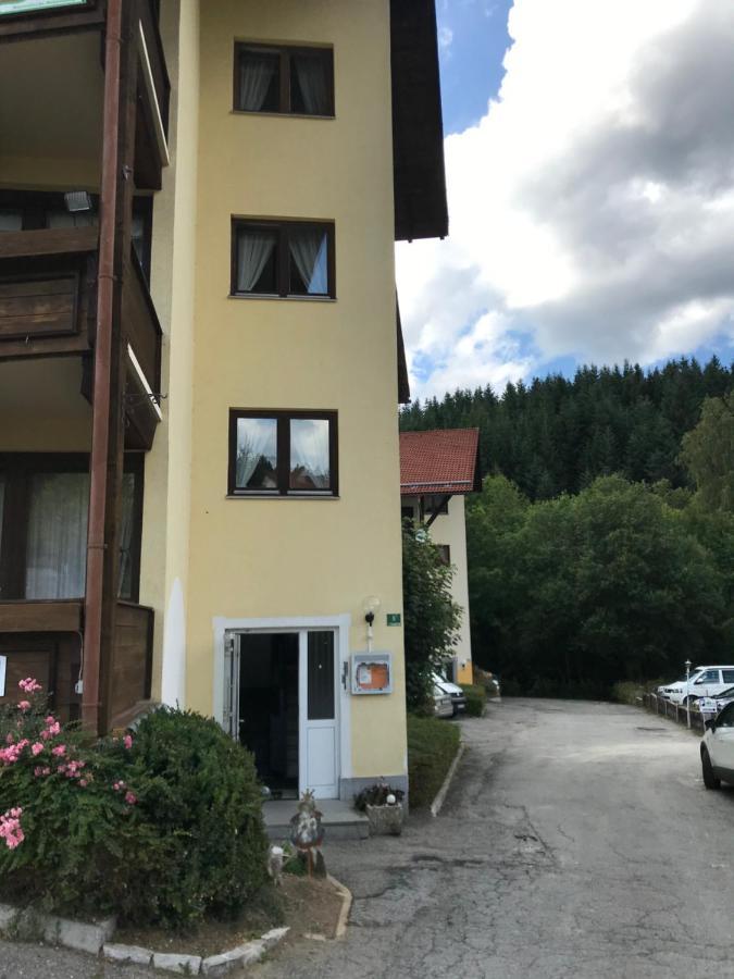 Appartamento Eisenstein Bayerisch Eisenstein Esterno foto